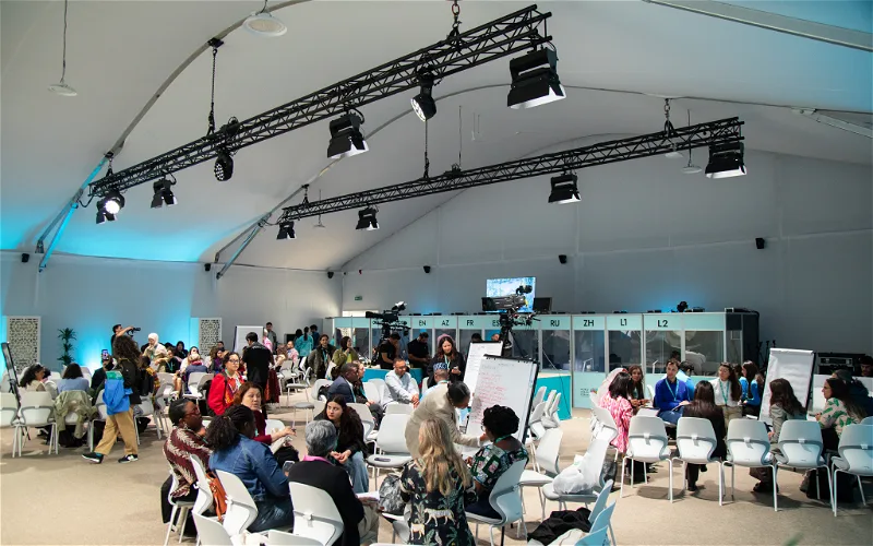 WUF13
